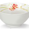 BV005 1 Tô Nhựa Melamine Phở 6" - Flora