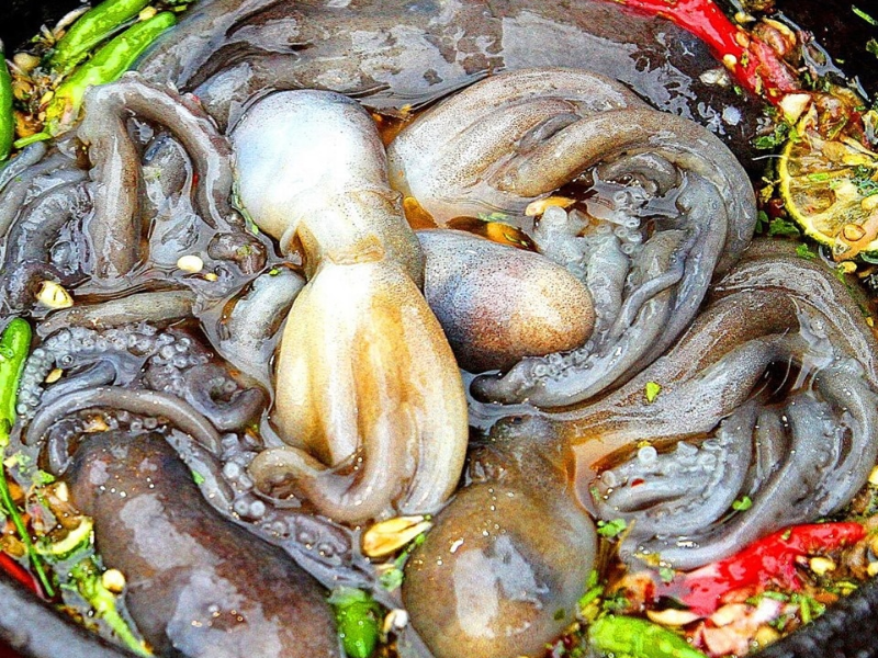 Vườn ốc Wongnai Vườn ốc Wongnai