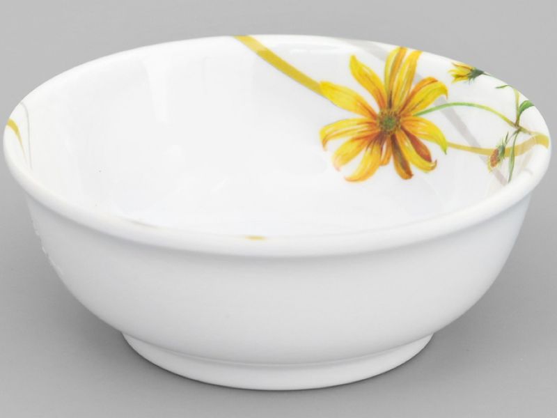 Giới thiệu về bộ sưu tập chén melamine họa tiết